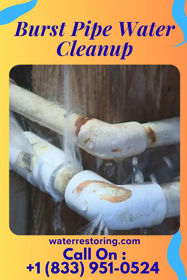 Burst Pipe Water Cleanup in Lagro, IN
