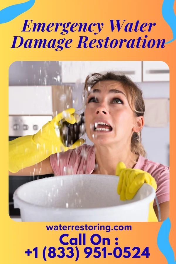 Emergency Water Damage Restoration in Lagro, IN