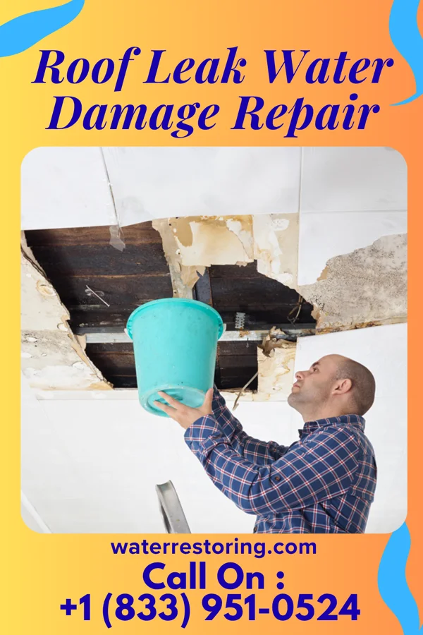 Roof Leak Water Damage Repair in Lagro, IN