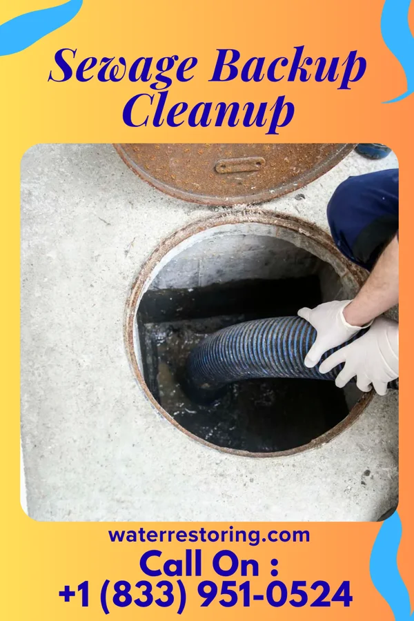 Sewage Backup Cleanup in Lagro, IN