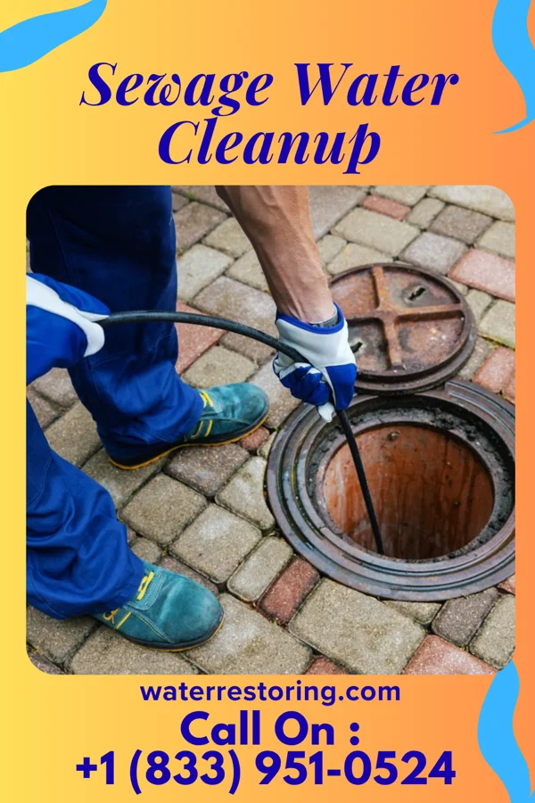Sewage Water Cleanup in Lagro, IN