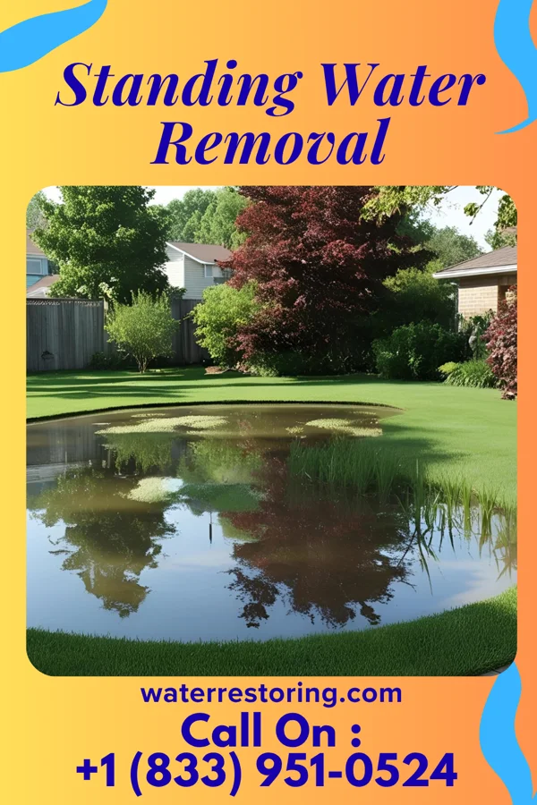 Standing Water Removal in Lagro, IN